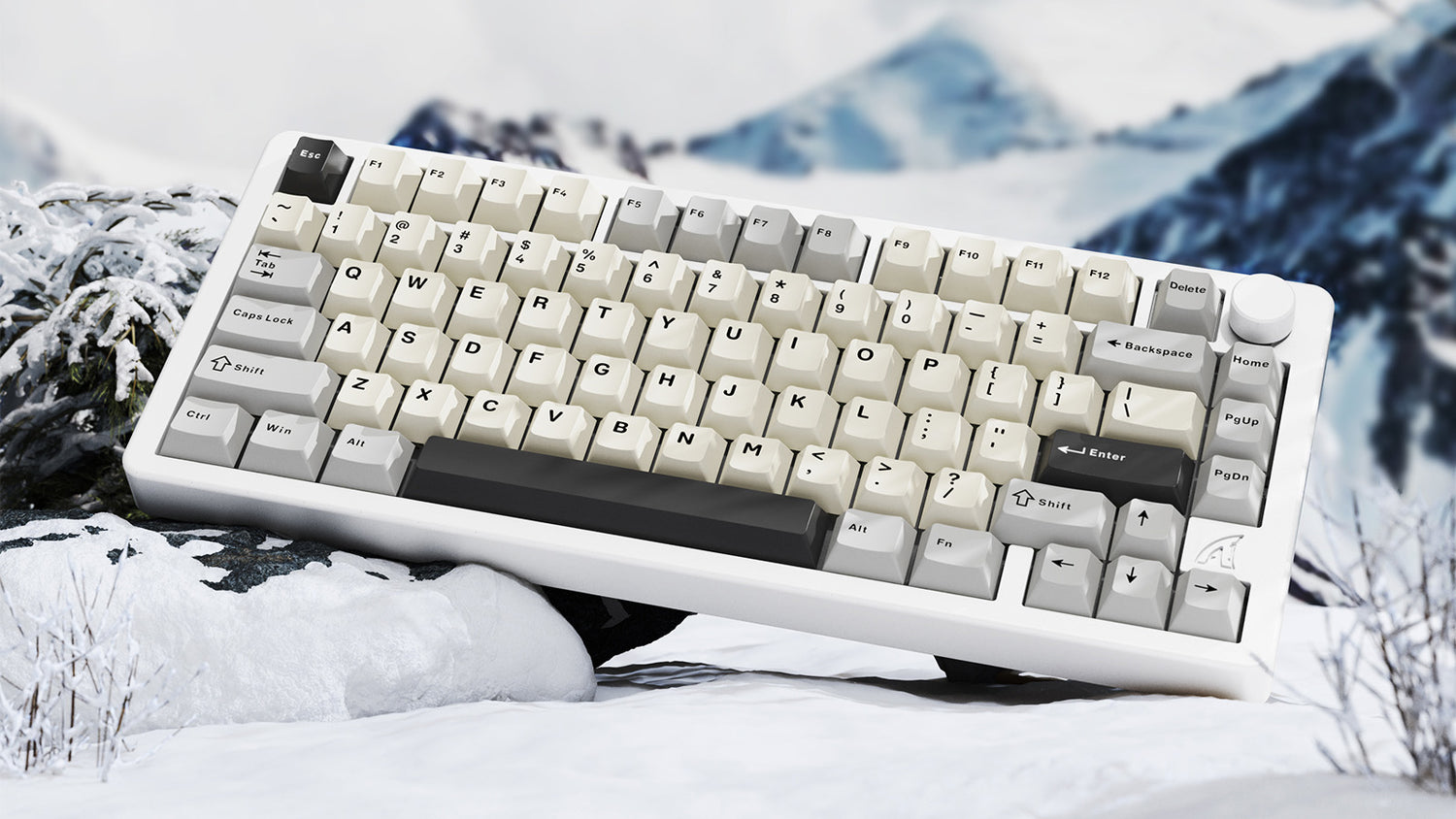 White mechanical keyboard with gray and off-white keycaps, placed on a snow-covered rock in a winter landscape