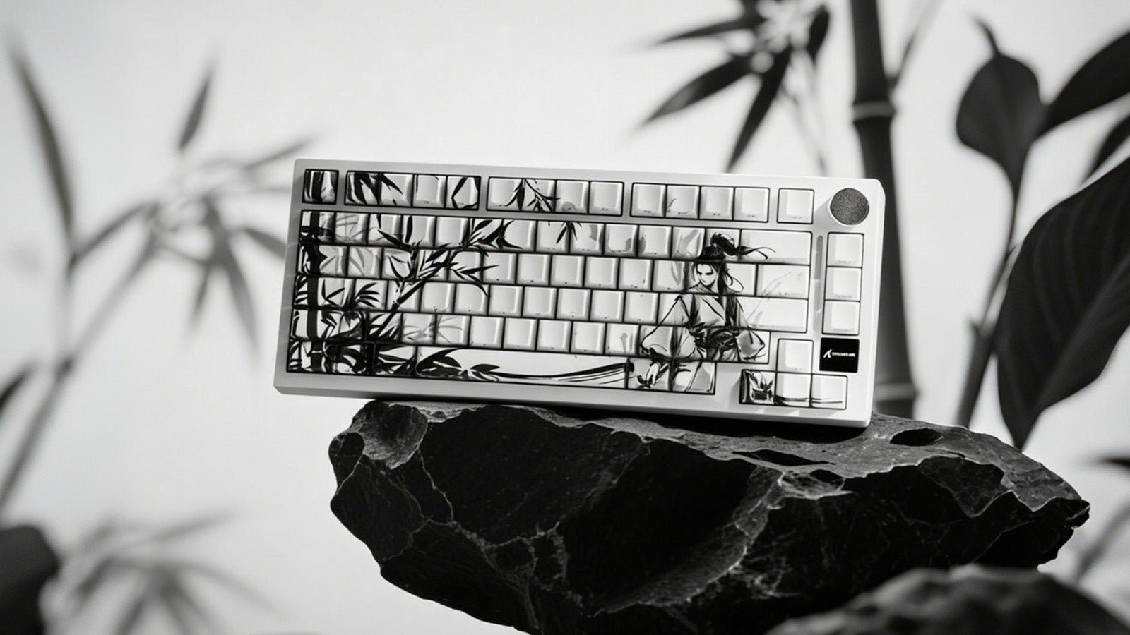 Spilled Water on Your Mechanical Keyboard? Here is Exactly What to Do Next