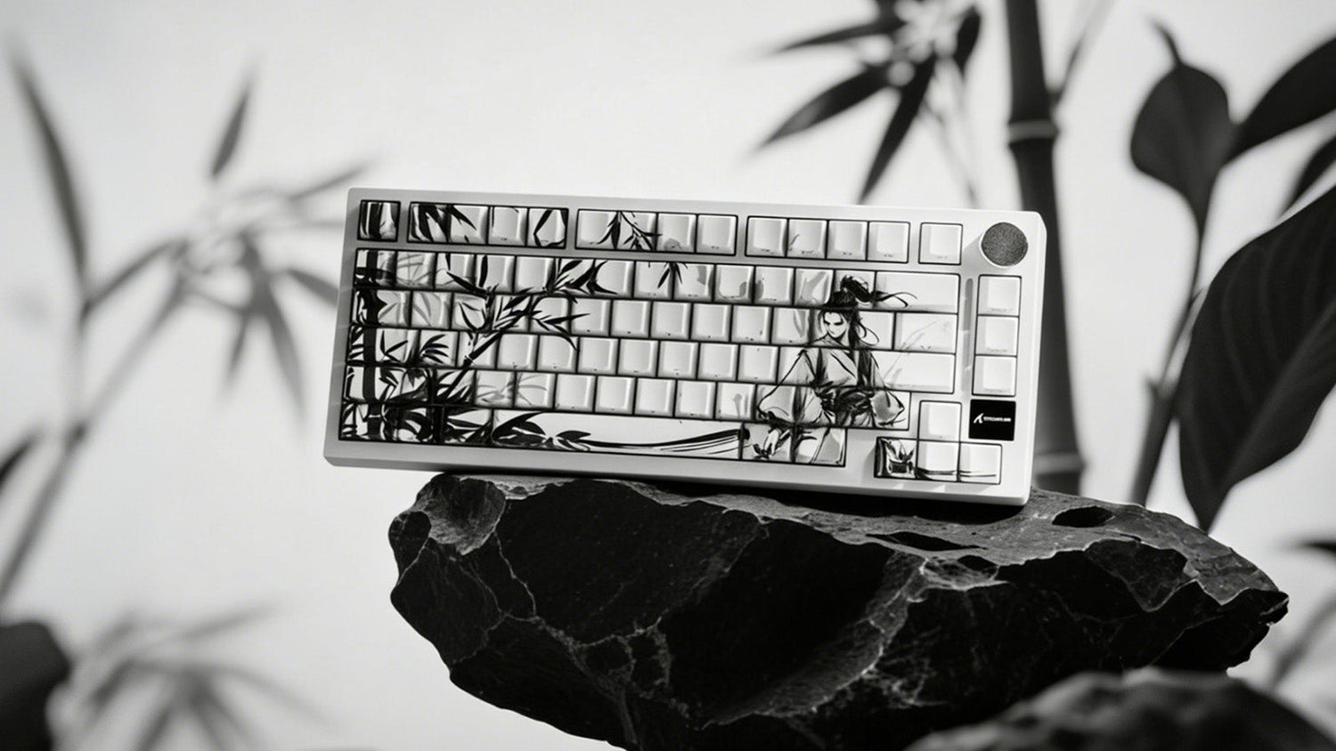 Spilled Water on Your Mechanical Keyboard? Here is Exactly What to Do Next