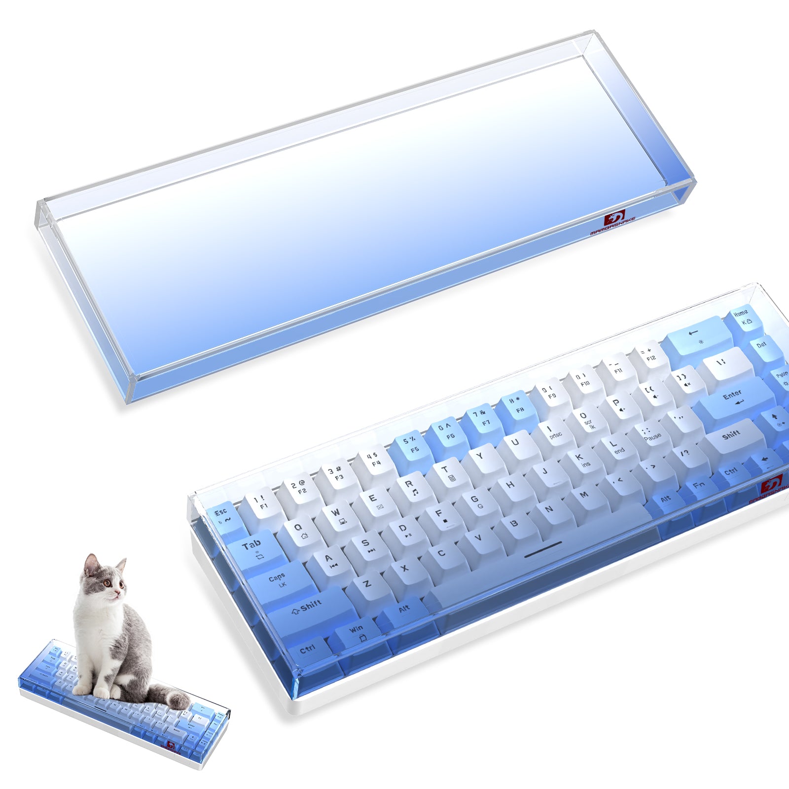 Transparent cover for 68-key keyboard in blue gradient with cat beside