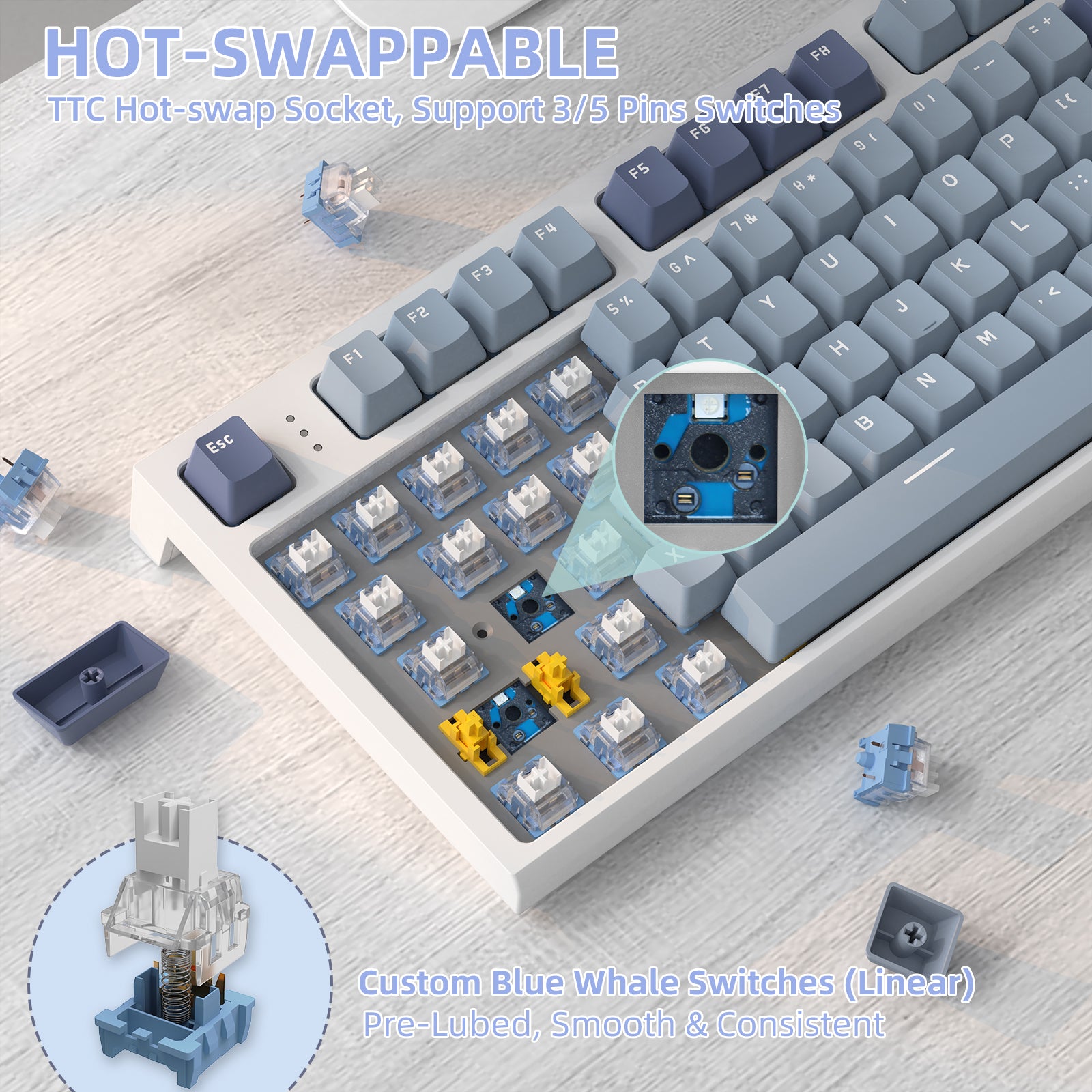 Hot-swappable TTC socket on K86 keyboard with custom blue whale switches