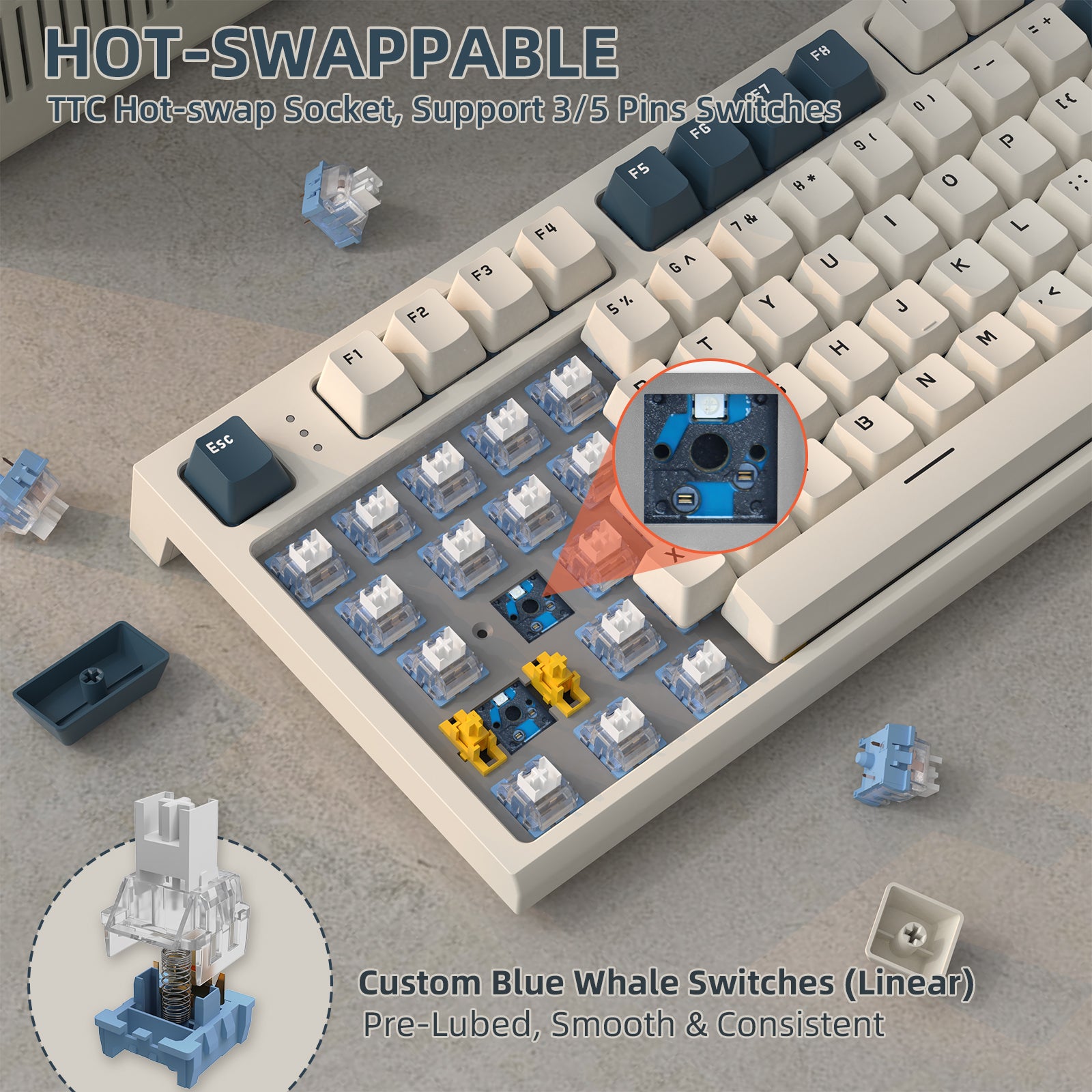 K86 keyboard with hot-swappable TTC socket and custom blue whale switches