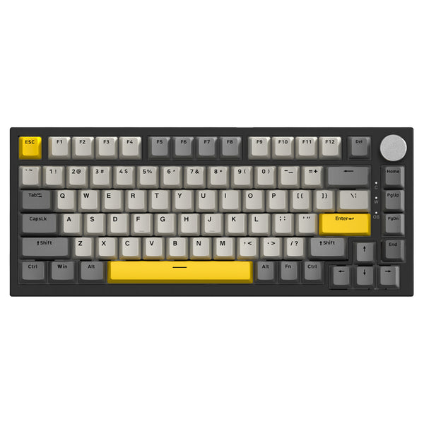 Starry Grey (Moon Yellow Switch,RGB Lighting)